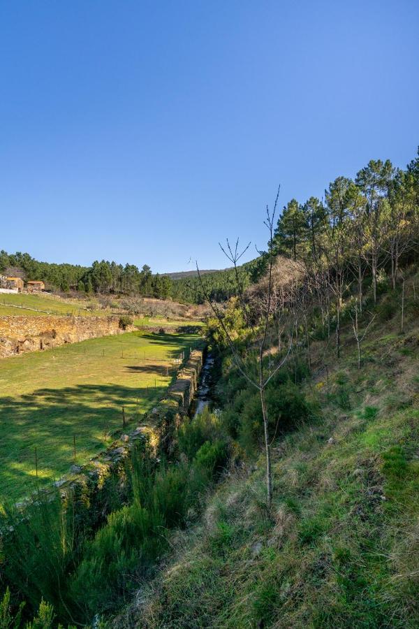 Aradas, Pampilhosa Da Serra, Casa Da Oliveira, Wifi, Ar Condicionado, Churrasqueira, Parqueamento, By Ig Unhais-o-Velho Exterior foto